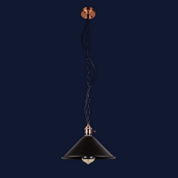 Люстры светильники Levistella 752839F-1C BK подвес на цепи