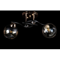 Люстра с плафонами  L7299/2 (FG+BK) Splendid-Ray
234308