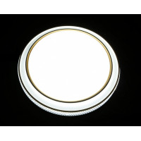 Светодиодная люстра L9178/24W*2 LED (WT+GD) Splendid-Ray
1999516