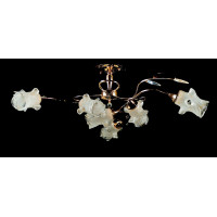 Люстра с плафонами  L118/6 (FGD+BRN) Splendid-Ray
880076