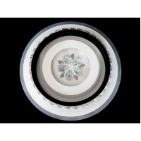 Светильник потолочный светодиодный LED Linisoln 2190