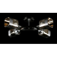 Люстра с плафонами  LGH51121/4 (BK+CR) Splendid-Ray
286371