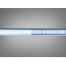 LED стрічка 24в, 120 шт/м, герметична, 8мм, холодний Diasha N24-2835-120-CW-68-8
