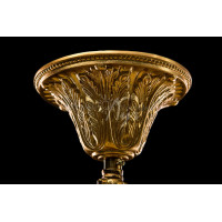 Люстра в зал на 10 ламп Splendid-Ray 991169