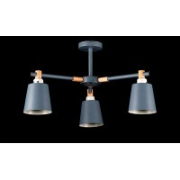 Люстра с плафонами  LH168/3 (GRAY) Splendid-Ray
2489