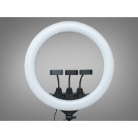 Селфі лампа з пультом, 55см, без штатива, живлення 220В Diasha SL-ZB-F488