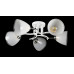 Люстра с плафонами  L07410/5 (WHITE+CHROME) Splendid-Ray
2551