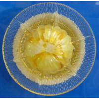 Точечный светильник OSD315 YEL Splendid-Ray
999581 Точечный светильник OSD315 YEL Splendid-Ray
999581