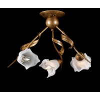 Люстра с плафонами Splendid-Ray 882436(GB)