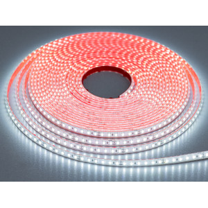 LED стрічка 24в, 120 шт/м, герметична, 8мм, холодний Diasha N24-2835-120-CW-65-8