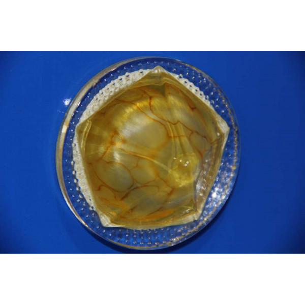 Точечный светильник OSD305 [YEL] Splendid-Ray
999925