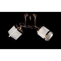 Люстра с плафонами  L75740/2 (FGD) Splendid-Ray
1002647