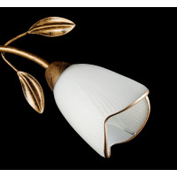 Люстра с плафонами Splendid-Ray 882193(GB)