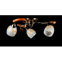 Люстра с плафонами Splendid-Ray 881447(FGD+BL)