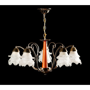 Люстра с плафонами  LAAA04/5 (FGD) Splendid-Ray
879726
